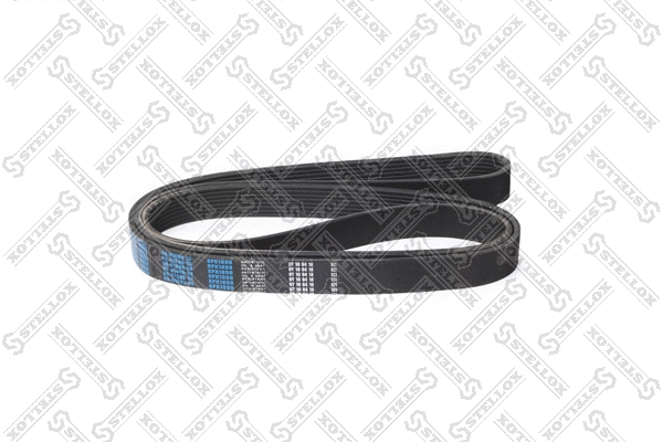 V-Ribbed Belt (08-01890-SX)