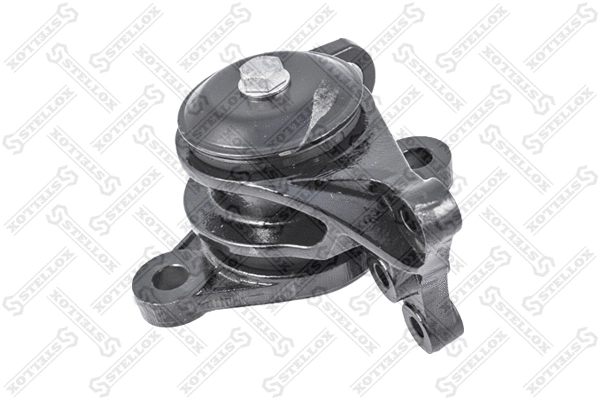 Mounting, engine (81-02750-SX)