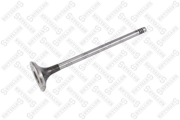 Exhaust Valve (01-24336-SX)