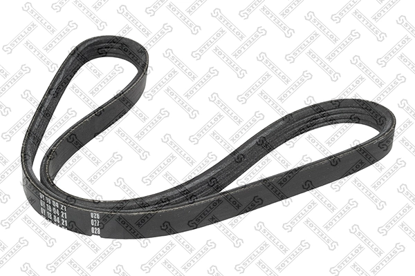 V-Ribbed Belt (04-00867-SX)