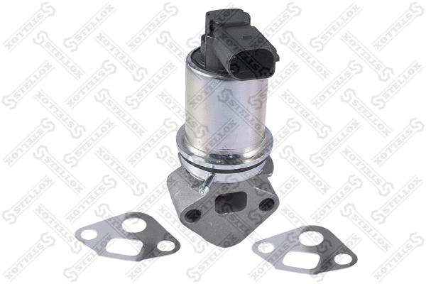 EGR Valve (01-25021-SX)