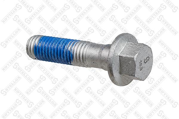 Screw (79-09012-SX)