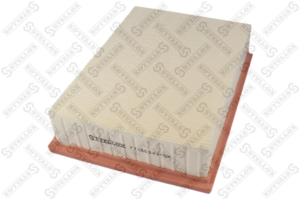 Air Filter (71-00343-SX)