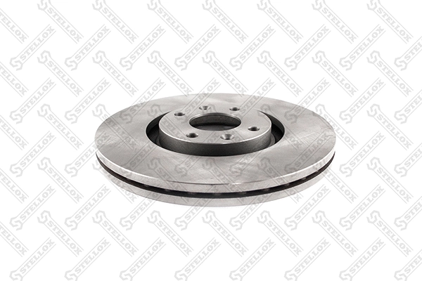 Brake Disc (6020-1938V-SX)
