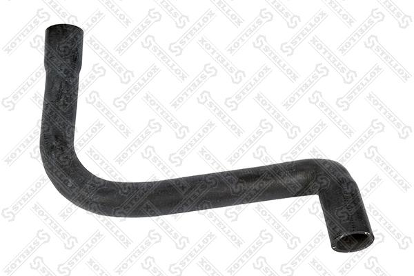 Radiator Hose (10-35658-SX)