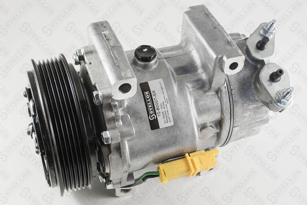 Compressor, air conditioning (10-80007-SX)