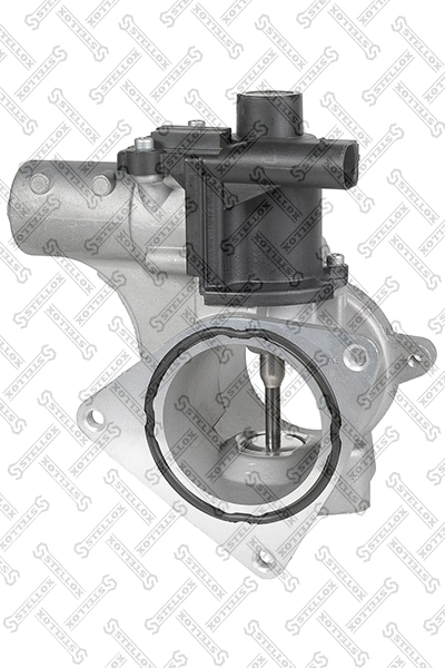 EGR Valve (01-25129-SX)