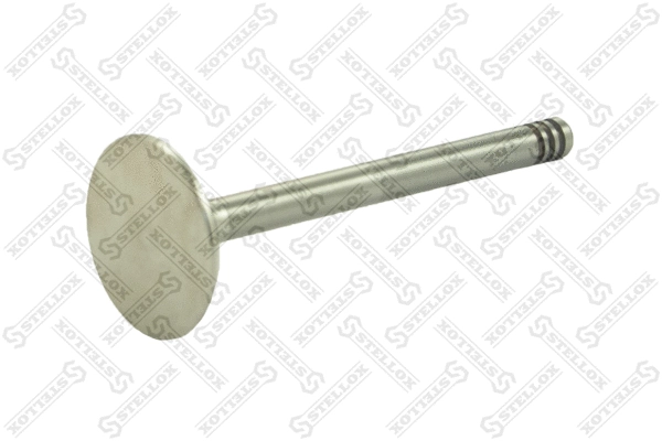 Intake Valve (01-23119-SX)