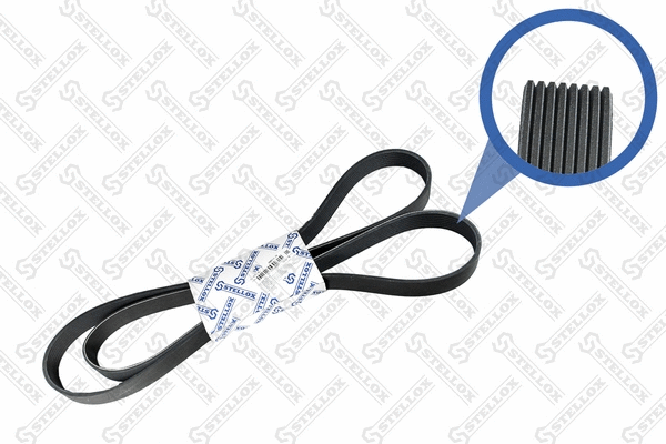 V-Ribbed Belt (08-02170-SX)