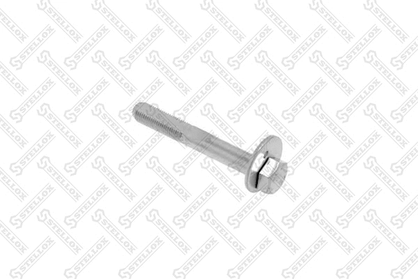 Screw (79-01100-SX)