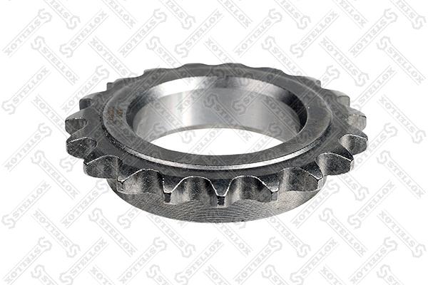Timing Chain Kit