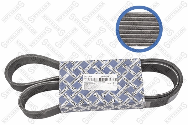 V-Ribbed Belt (08-01275-SX)