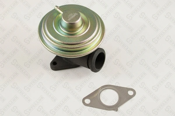 EGR Valve (01-25070-SX)