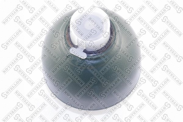 Pressure Accumulator, pneumatic suspension (70-00010-SX)