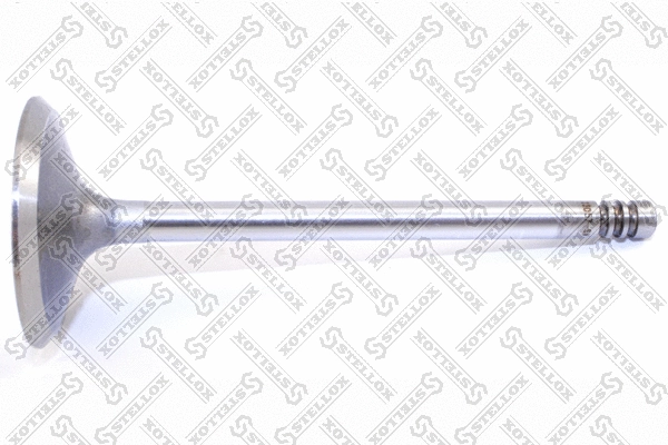 Intake Valve (01-23057-SX)