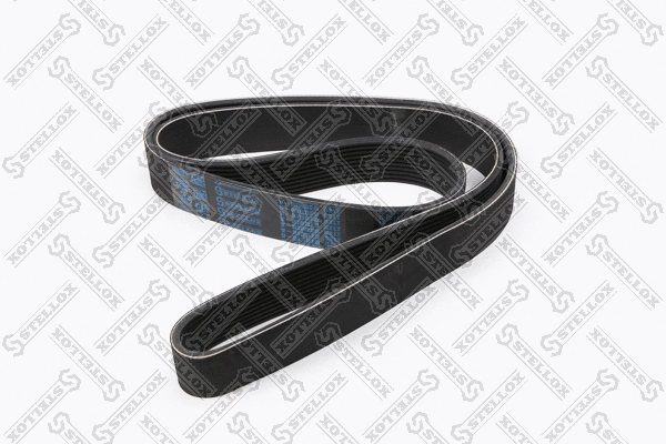 V-Ribbed Belt (10-31425-SX)