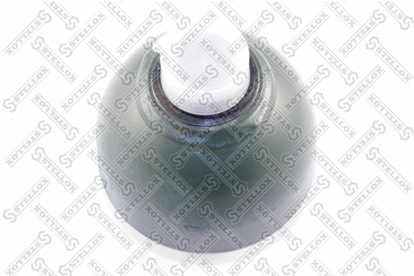 Pressure Accumulator, pneumatic suspension (70-00042-SX)