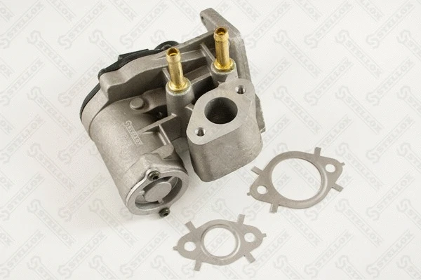 EGR Valve (01-25051-SX)
