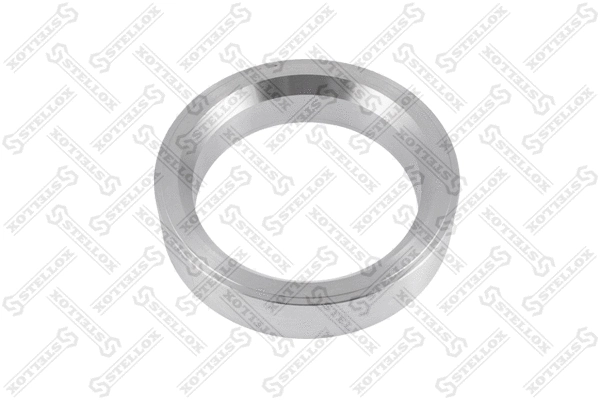 Ring, wheel hub (83-01800-SX)