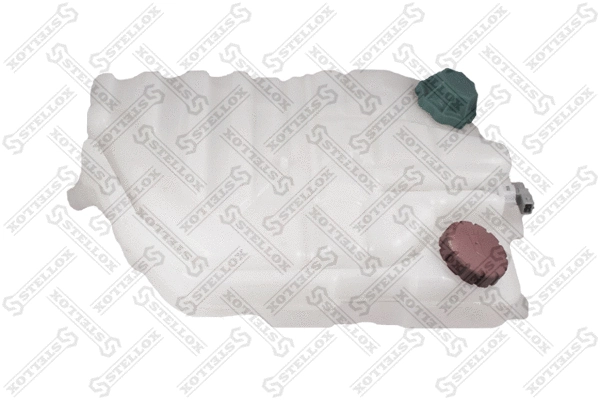 Expansion Tank, coolant (81-63010-SX)