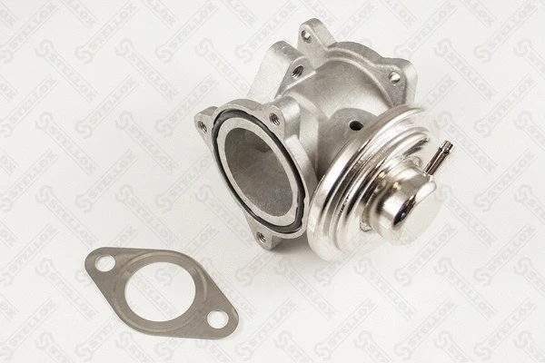 EGR Valve (01-25074-SX)
