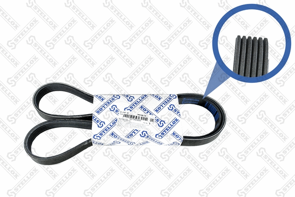 V-Ribbed Belt (06-01435-SX)