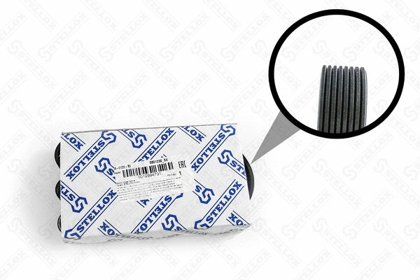 V-Ribbed Belt (08-01230-SX)