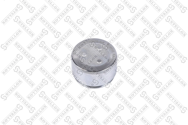 Piston, brake caliper (04-98318-SX)