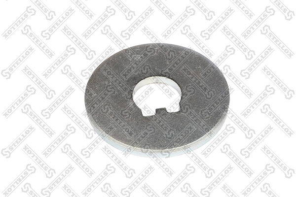 Washer (89-01407-SX)