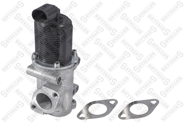 EGR Valve (01-25018-SX)