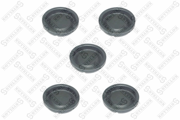 Repair Kit, brake caliper (85-10713-SX)