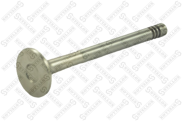 Exhaust Valve (01-24119-SX)