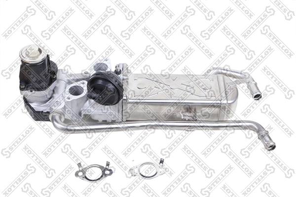 EGR Valve (01-25111-SX)