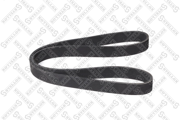 V-Ribbed Belt (08-01202-SX)