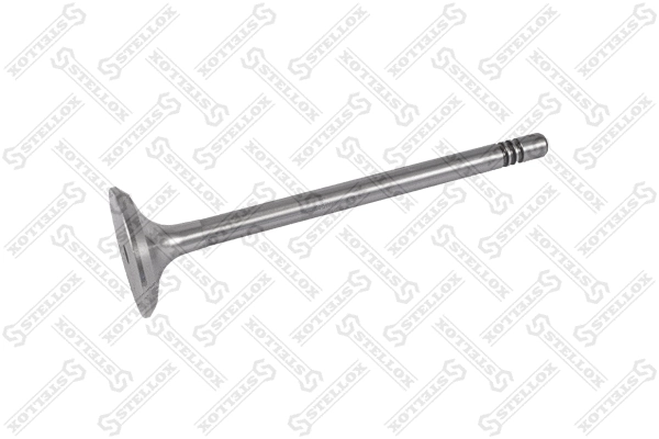 Exhaust Valve (01-24289-SX)