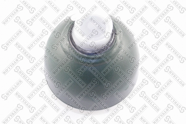 Pressure Accumulator, pneumatic suspension (70-00070-SX)