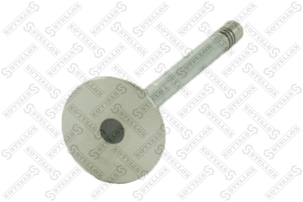 Exhaust Valve (01-24206-SX)