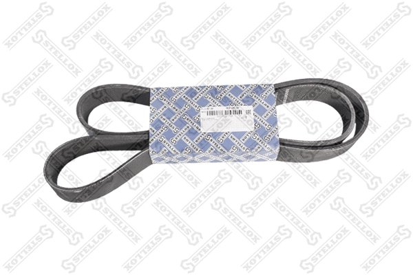 V-Ribbed Belt (01-01485-SX)