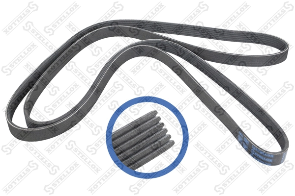 V-Ribbed Belt (06-02400-SX)