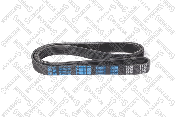 V-Ribbed Belt (08-01855-SX)