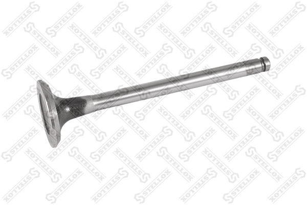 Exhaust Valve (01-24029-SX)