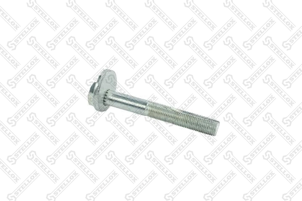 Screw (79-01101-SX)