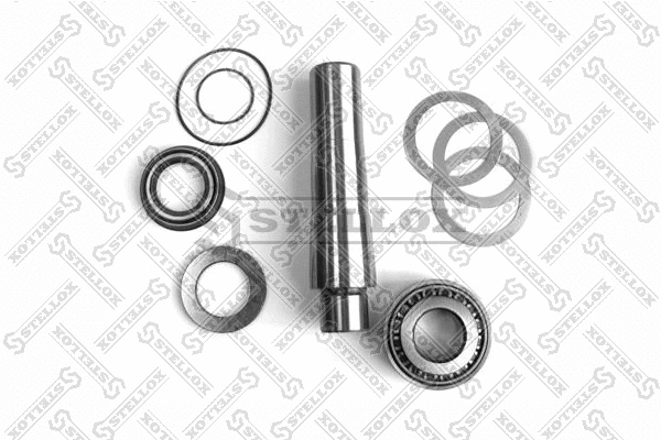Repair Kit, kingpin (84-16025-SX)