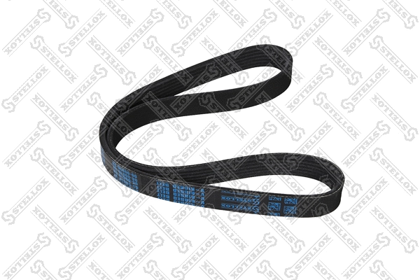 V-Ribbed Belt (06-00810-SX)