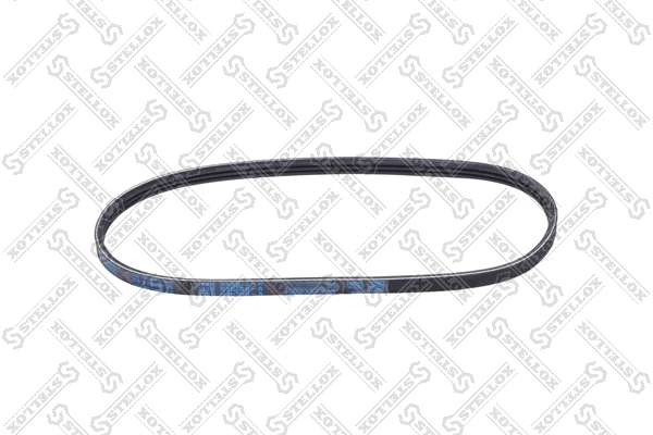 V-Ribbed Belt (03-00628-SX)