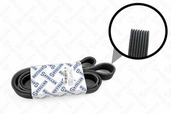 V-Ribbed Belt (08-02080-SX)