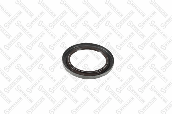 Seal Ring, spring bush (spring eye) (81-01207-SX)