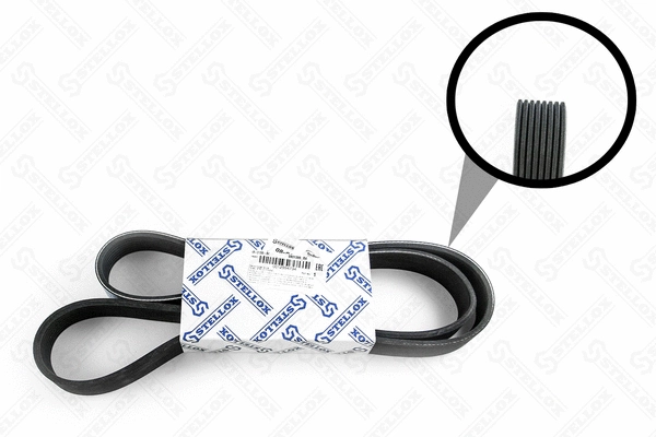 V-Ribbed Belt (08-01395-SX)