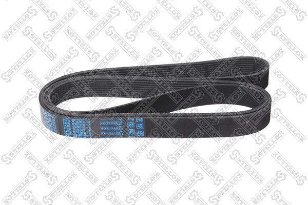 V-Ribbed Belt (09-02060-SX)