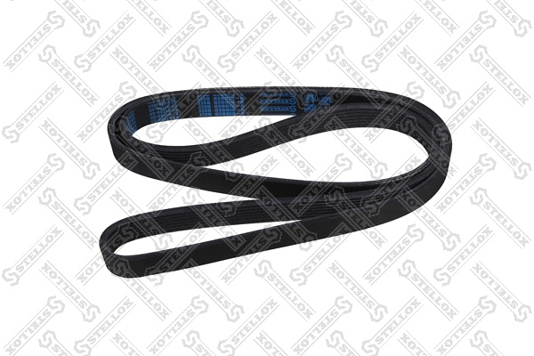 V-Ribbed Belt (07-01700-SX)